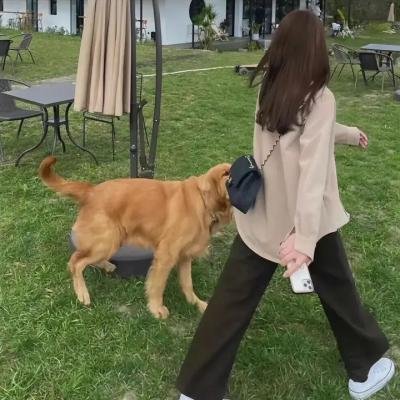 田间的少年